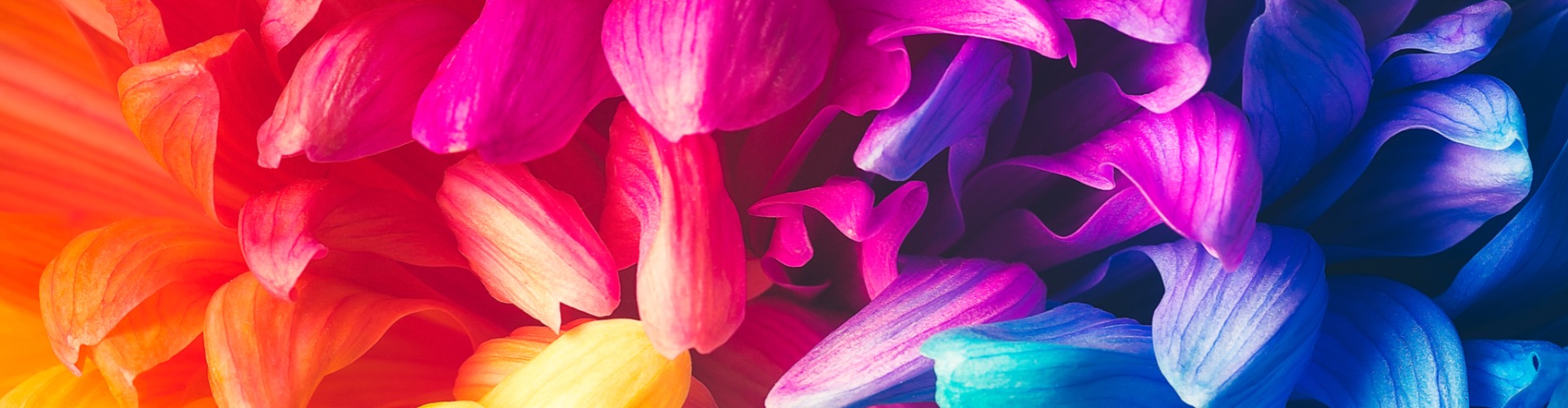 Insurance Recovery and Resolution Directive (IRRD)